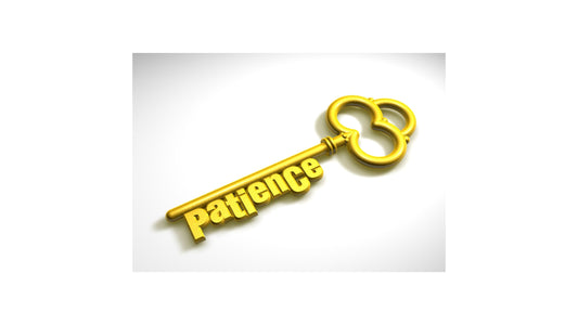 Patience is Key - Rerooting Back to Natural
